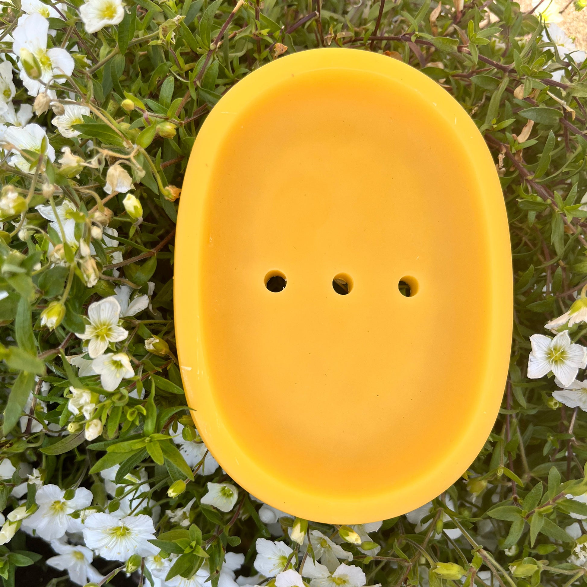 Yellow soap dish on a green leafy background with small white flowers