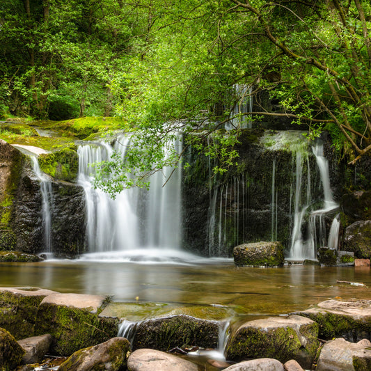 Why Natural Ingredients Are the Key: Swan's Well Spring and the Story of Castello de Haye