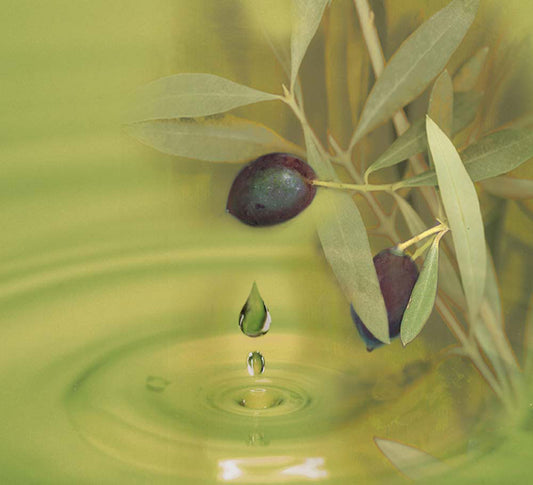 The Benefits of Olive Oil Soap for Your Skin