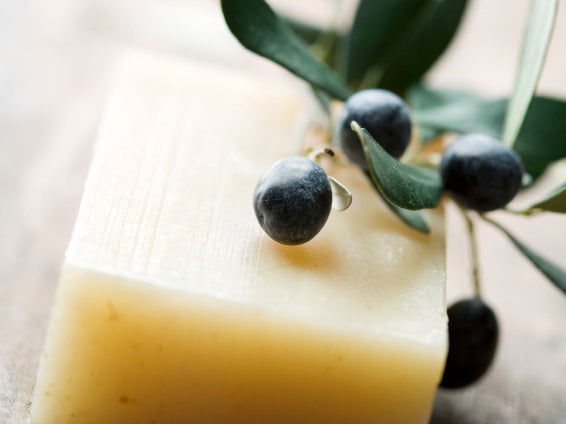 Natural ingredients for olive oil soap including antioxidant-rich vitamins and minerals