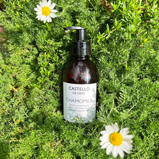 Brown bottle labeled 'Castello de Haye Chamomile' on green foliage with daisies.