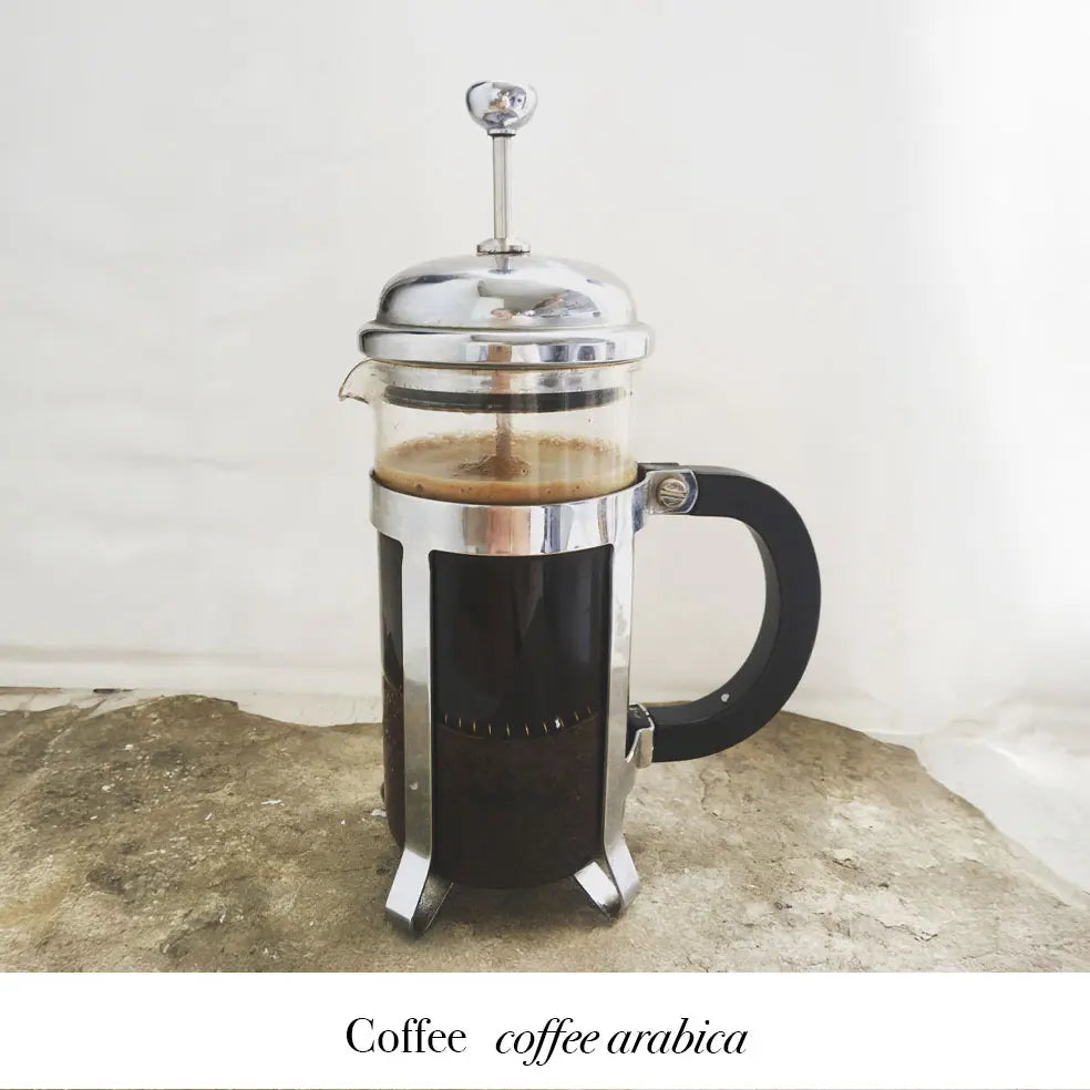 French press coffee maker with coffee beans, supporting the coffee-inspired scent story.