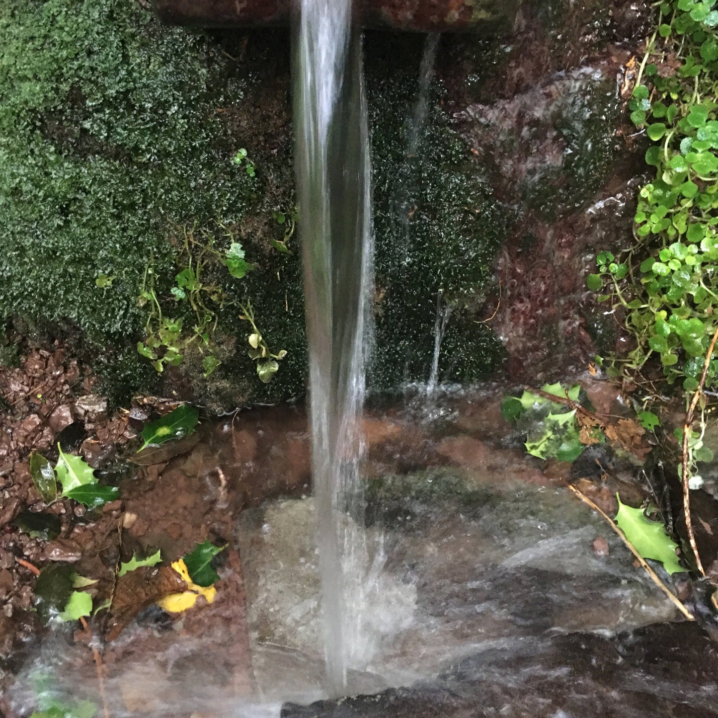 Castello de Haye water from the black mountains well